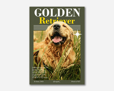 Golden Retriever | Poster 027 design dog golden graphic design poster