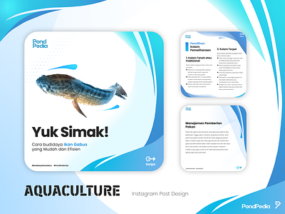 AquaCulture - Instagram Post Design aquaculture design feed design feed instagram graphic design instagram minimalist post post ig post instagram social media social media post social media post design