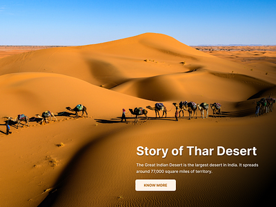 Desert camel desert ui unsplash webpage