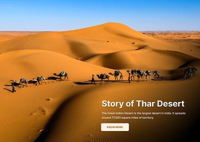 Desert camel desert ui unsplash webpage