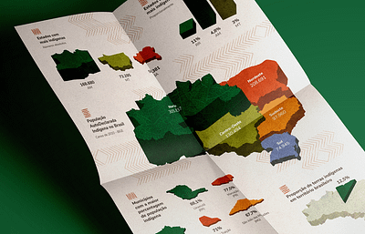 Infográfico sobre Povos Indígenas Brasileiros | Genera graphic design infografico