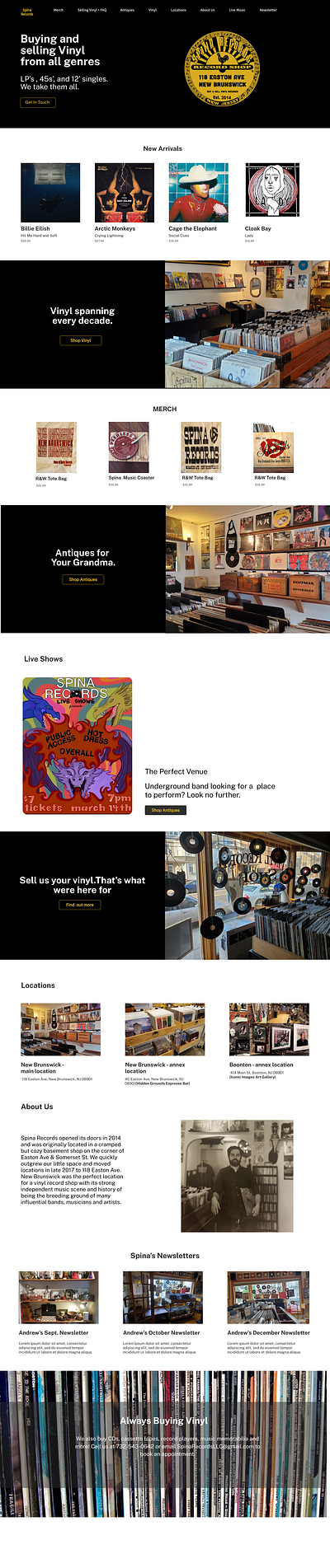 Vinyl Record Store Home Page Design