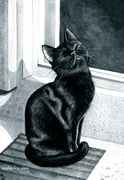 MonochromCatic Series animals art art prints artist artwork cat cats commissions freelance gouache illustration illustrator kitten paint painter painting pets studies wall art watercolor