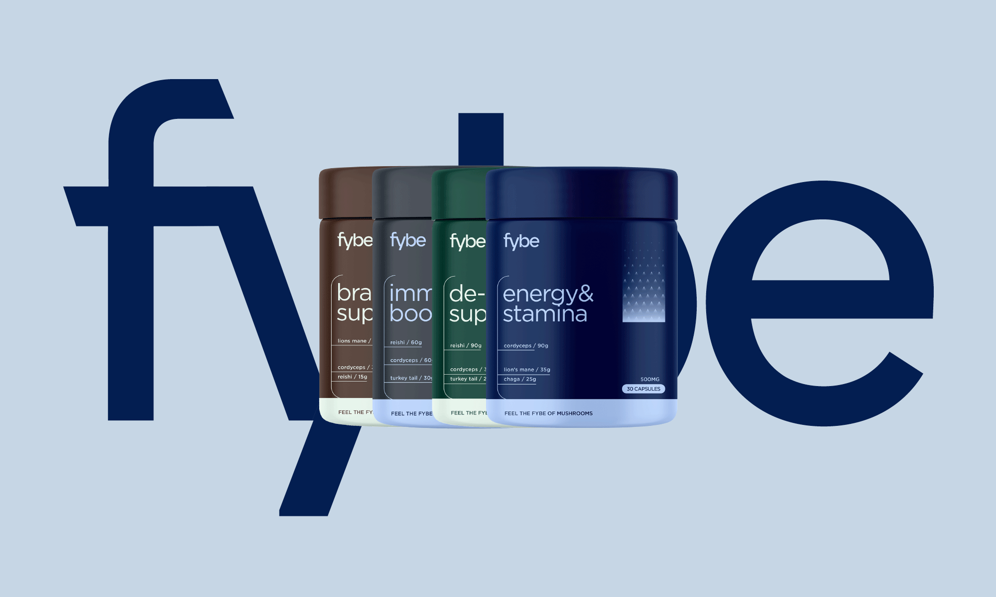 Innovative Supplement Website Design: Fybe's Brand Identity and Packaging