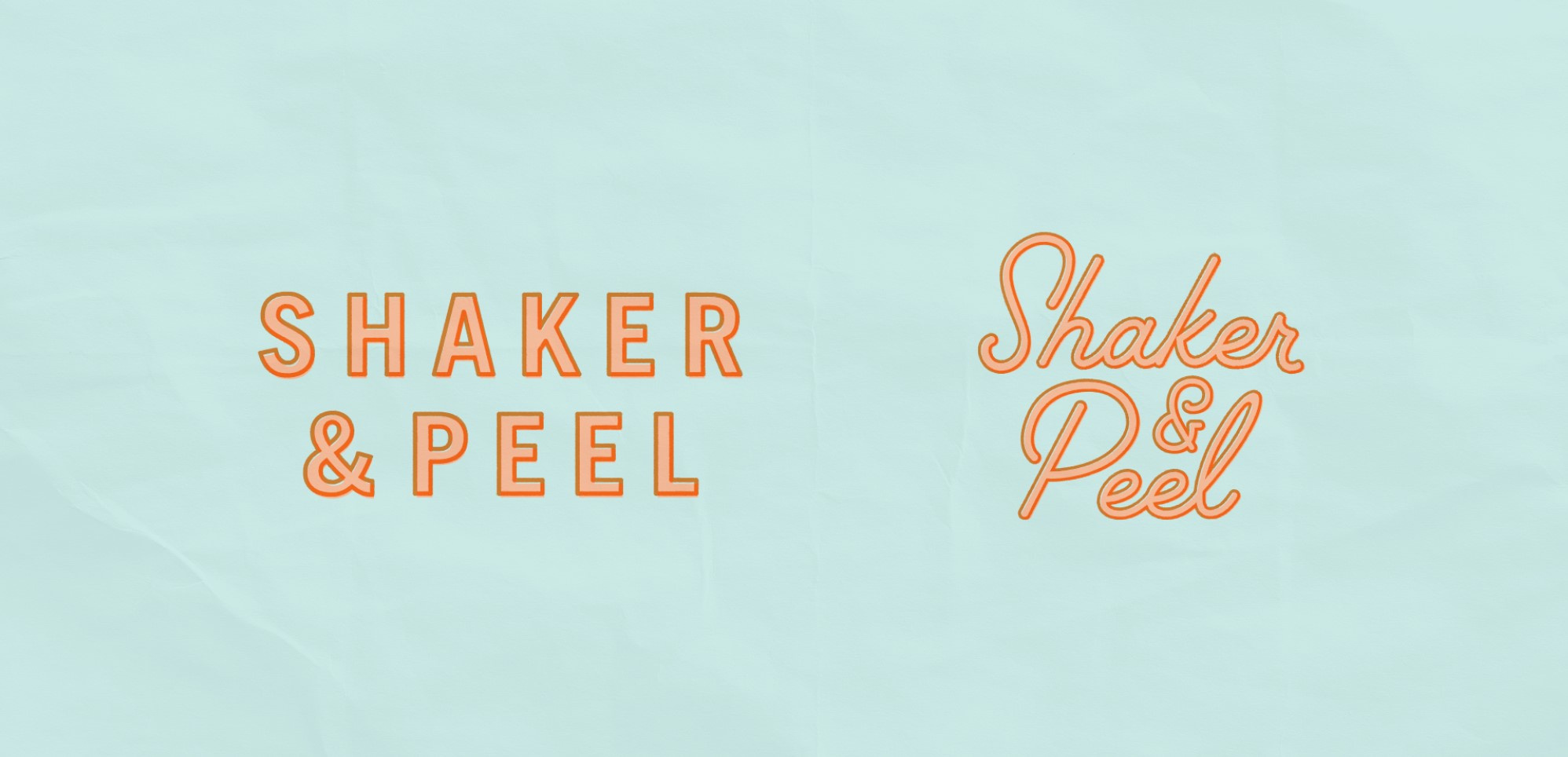 Shaker & Peel B-Side aqua brand brand assets brand design branding concept creative design drink florida graphic design illustration logo logo design orange restaurant vector