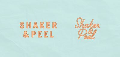 Shaker & Peel B-Side aqua brand brand assets brand design branding concept creative design drink florida graphic design illustration logo logo design orange restaurant vector