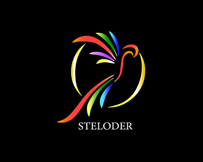 Logo Steloder brand brand identity brand design branding design graphic design illustration logo