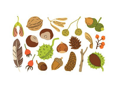 Autumn treasures autumn cartoon chestnut childish concept cute design finds flat illustration kids maple nature nut oak pinecone seed treasure vector