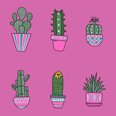 Set of cute cactus plants in flower pots hand drawing app branding design graphic design illustration logo typography ui ux vector