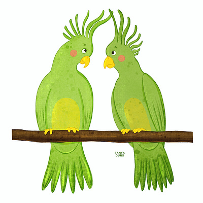 Parrot characters. Children book illustration. animals birdillustration birds bookillustration chapterbook characterdesign childrenbookillustration childrenillustration cuteanimals digitalart illustration jungleanimals kidlit kidlitart parrot parrotillustration parrots picturebook picturebookillustration procreate