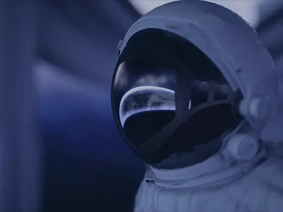 elevate digital studio web development