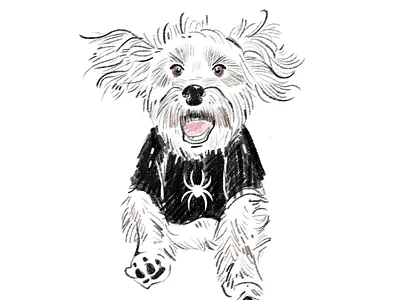 Dog Illustration animal design drawing illustration ink sketch sketching stroke 插画