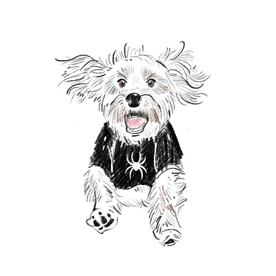 Dog Illustration animal design drawing illustration ink sketch sketching stroke 插画