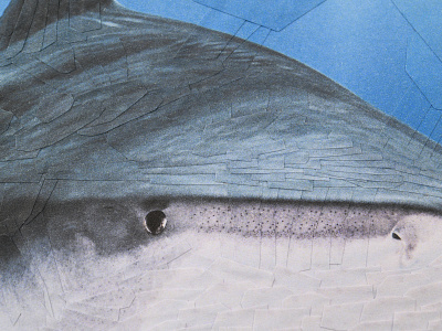 Shark for The New Yorker, detail blue collage illustration shark