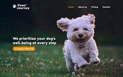 Paws' Journey: Brand Identity belgium brand brand identity branding design dog dogs graphic design identity logo orange project