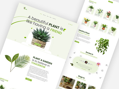 Plant Shop 2024 branding clean clean design clean ui e commerce graphic design nursery photoshop plant plant shop ui webs website concept website design