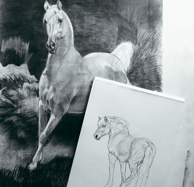 Horse Drawings drawing horse pencil traditional