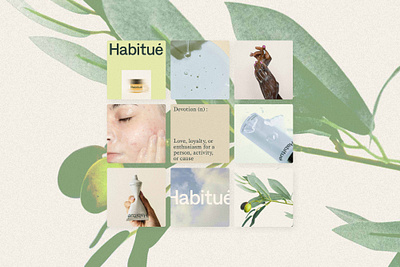 Habitué art direction branding instagram logo skincare social design social media ui