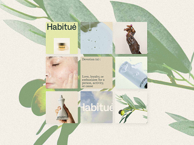 Habitué art direction branding instagram logo skincare social design social media ui