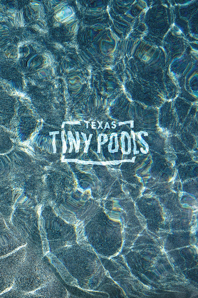 Texas Tiny Pools brand branding design graphic design logo typography