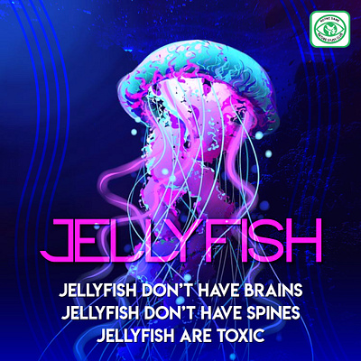 Jellyfish X Ndnsc