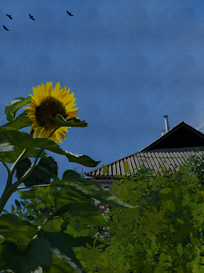 Sunflower freedom home house illustration nature sky summer sunflower ukraine