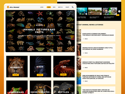 NatGeo Website Layout Redesign aniumal creative design geographic homepage landingpage national geographic nature saas ui ui ux web3 webpage webpage redesign website wepage wild wildlife