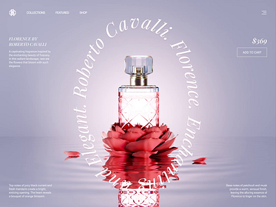 Roberto Cavalli designs themes templates and downloadable graphic elements on Dribbble