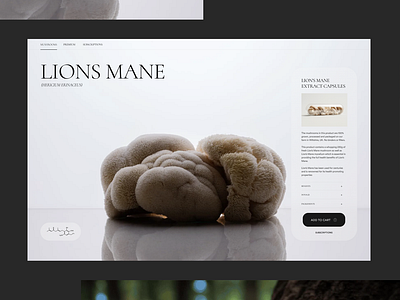 Mushrooms Ecommerce UI checkout design ecommerce glass interaction interface design lions mane minimal mushrooms shop ui user interface