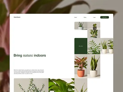 GreenHaven - Concept branding design flowers graphic design interface minimal plan plants subscriptions ui web design