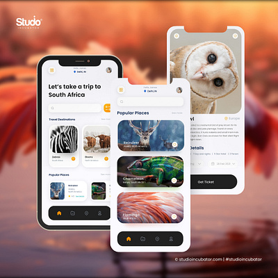 Wildlife Discovery Application Design, Experience Design uiux