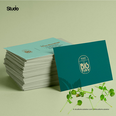 The Big Tiny Farm - Branding Design, Experience Design logo design