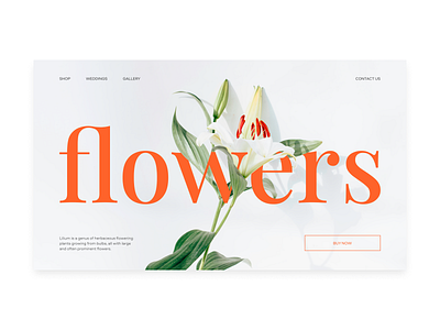 Flower Shop Website figma uiux user experience user interface web design