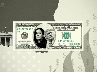 Money & US elections article congress dollars graphic design kamala harris newsletter politics trump us white house
