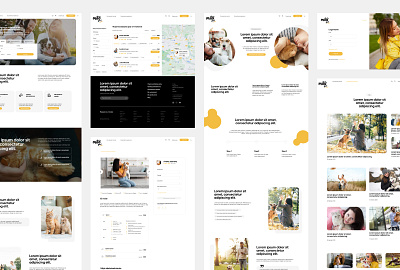 UX Architecture and design for online petsitting services search