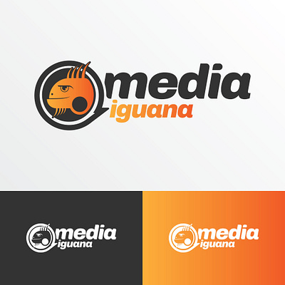 media iguana ideation exercise