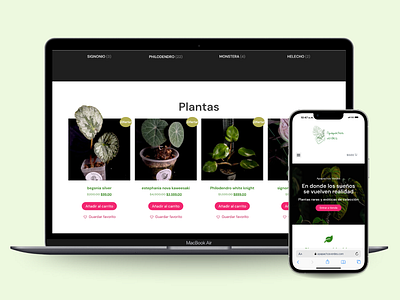 Plants catalog - Apapachos Verdes botanic catalog design plants ui webdesign