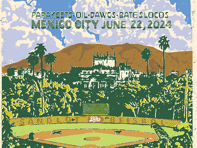 South Austin Parakeets in Mexico City graphic design poster poster design screenprint