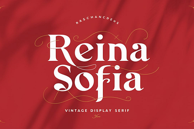 Reina Sofia - Vintage Display Serif design graphic design illustration logo vector