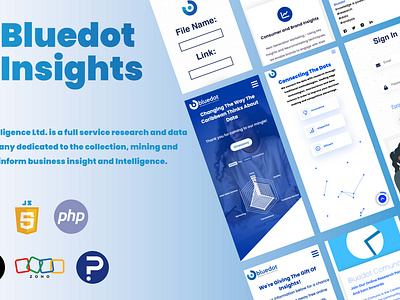 Bluedot Insights - Market Research animation css javascript ui web