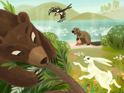 Forest animals animals bear book book illustration character children illustration handdrawn hare illustration
