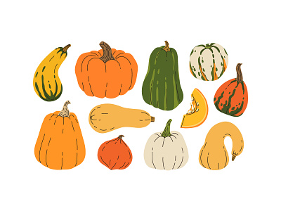 Pumpkin set autumn cartoon concept cute design farm flat food fresh harvest illustration nature pumpkin vector vegetables