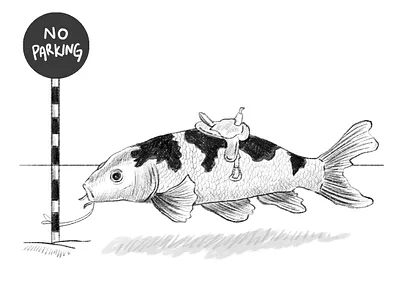 Koi illustration animal design drawing fish illustration koi sketch sketching 插画