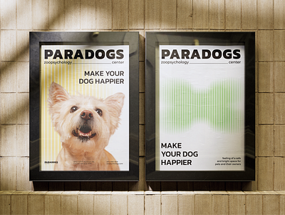 posters | brand identity | paradogs branding graphic design logo