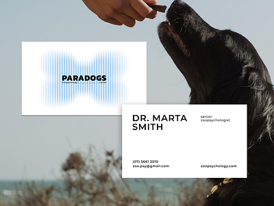 business card | brand identity | paradogs branding graphic design logo