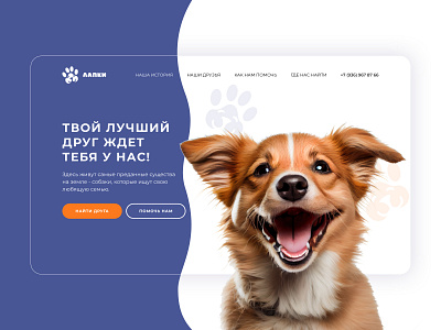 The design concept of the first screen of the site auto layout design dog dog shelter figma photoshop ui web design