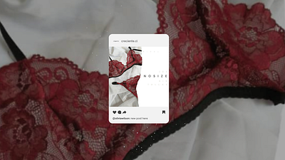 Social Media Content: Lingerie brand design fashion lingerie social media ux