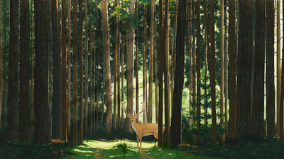 Deer in the Forest illustration