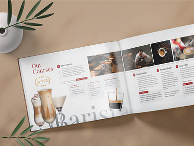 Barista Academy Promotional Brochure artwork barista branding brochure design cafe coffee graphic design illustration training