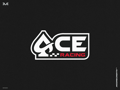 Acerni Custom Engineering branding cat logo racing